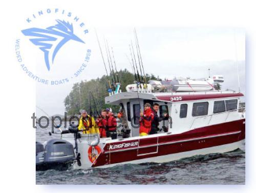 Kingfisher 500 karta techniczna i opinie